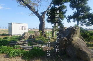 yashiroooo111.jpg